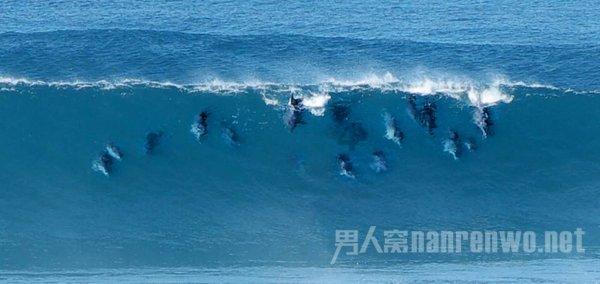 航海王